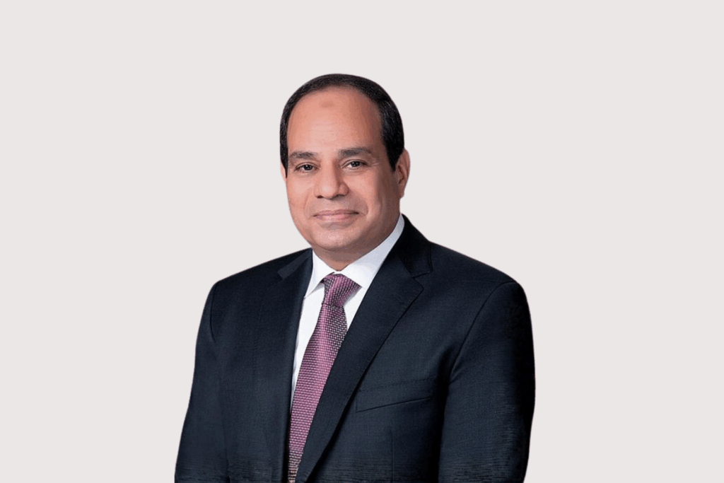 egypt, host, first, ai, everything, middle, east, africa, summit, cairo, partnership