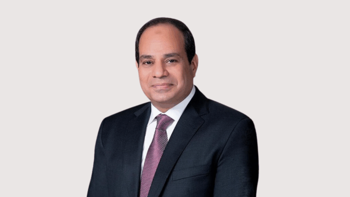 egypt, host, first, ai, everything, middle, east, africa, summit, cairo, partnership